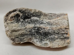 Versteinertes Holz Madagaskar